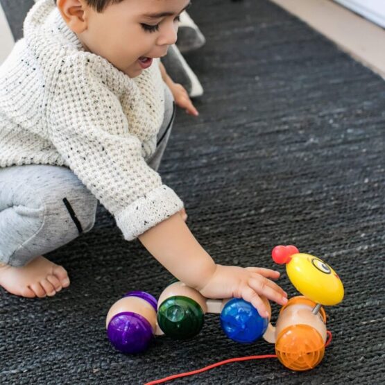 Jucarie de lemn Hape & Baby Einstein Inch Along Cal™