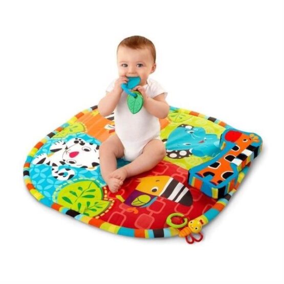 Salteluta interactiva Start Your Senses Bright Starts "Spots&Stripes"