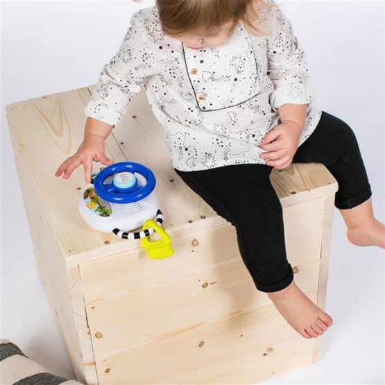 Jucarie muzicala cu lumini Baby Einstein Driving Tunes