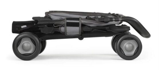 koleaska progulocinaea dlea malisha