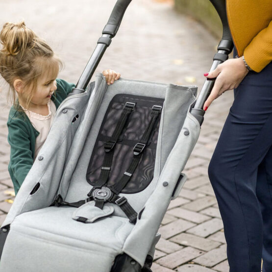 koleaska progulocinaea dlea malisha