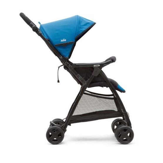 progulocinaea koleaska dlea novorojdennogo