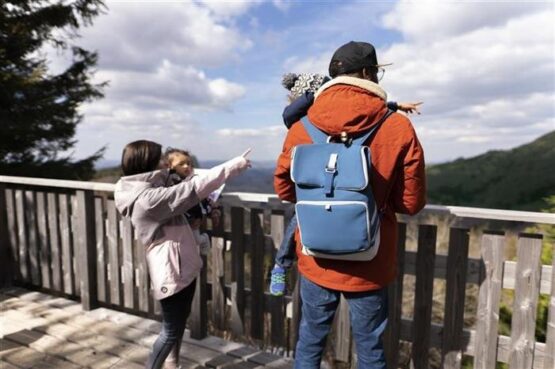 geanta giozdan pentru carucior