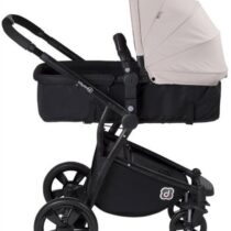 carucior 2 in 1 pentru nouanascuti