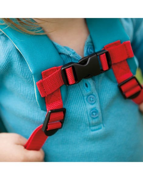 ghiozdan cu centura de siguranta pentru bebelusi