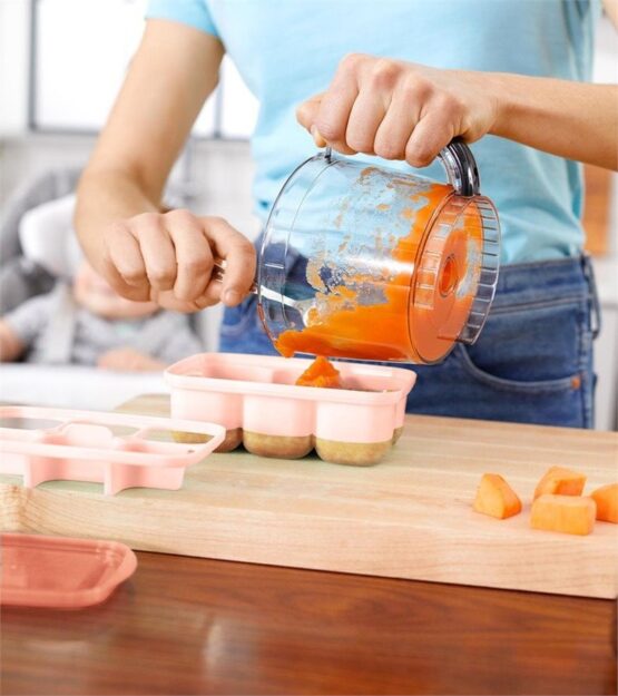 Recipiente pentru congelare Skip Hop