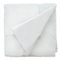 plapuma din sintepon chisinau moldova cumpar