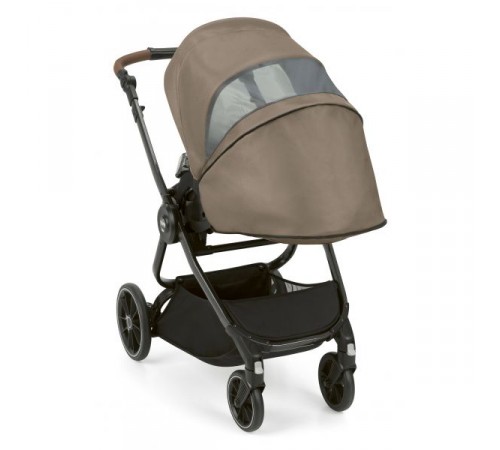 carucior pentru bebelusi