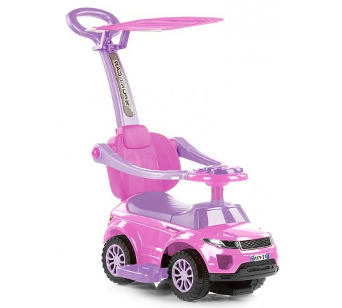 Chipolino Машина c ручкой RR Max ROCRR0184PI розовый