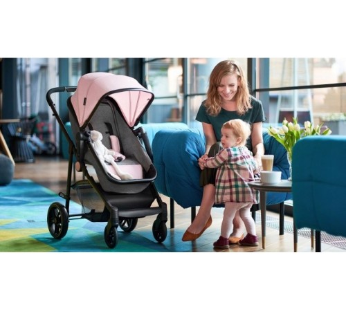 carucior 2 in 1 pentru bebelusi