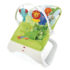 Fisher-Price CJJ79 2