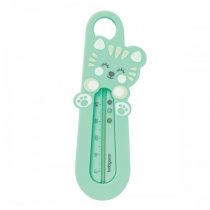 termometru pentru apă