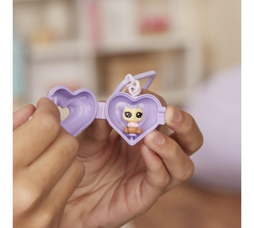 Set de joc Special Collection