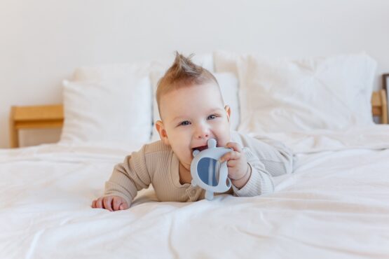 Dentitie din silicon pentru mana Roxy Kids Bear, Albastru (RST-003-B)