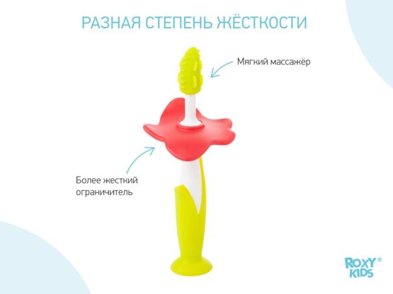 Set periuta de dinti+ perie de masaj, Verde (RTB-001)