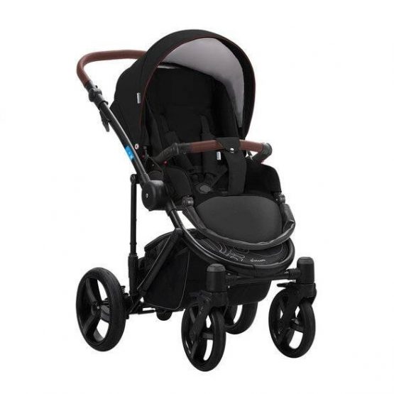 carucior 2 in 1 pentru copii