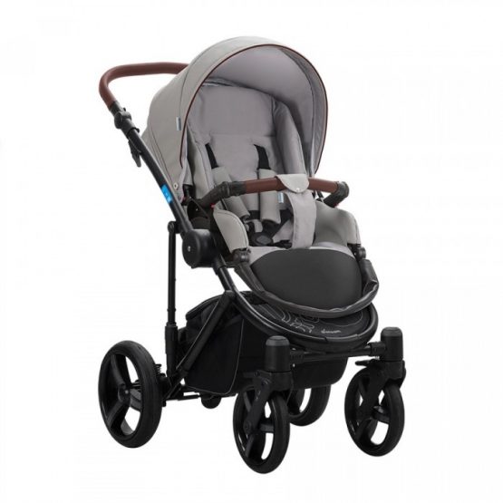 carucior 2 in 1 pentru copii