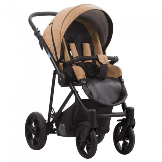 carucior 2 in 1 pentru copii