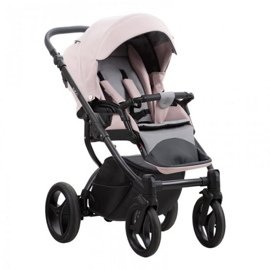 carucior 2 in 1 pentru copii