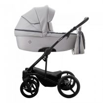 carucior 2 in 1 pentru copii