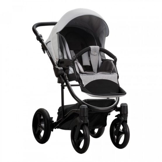 carucior 2 in 1 pentru copii