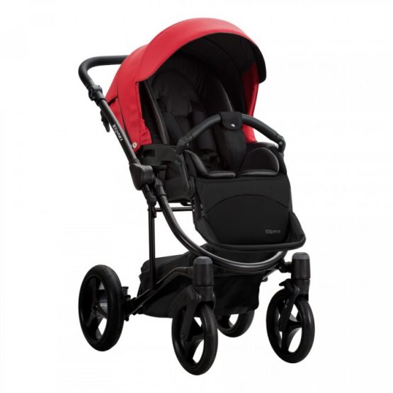 carucior 2 in 1 pentru copii