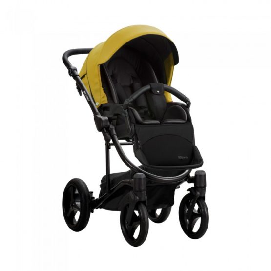 carucior 2 in 1 pentru copii