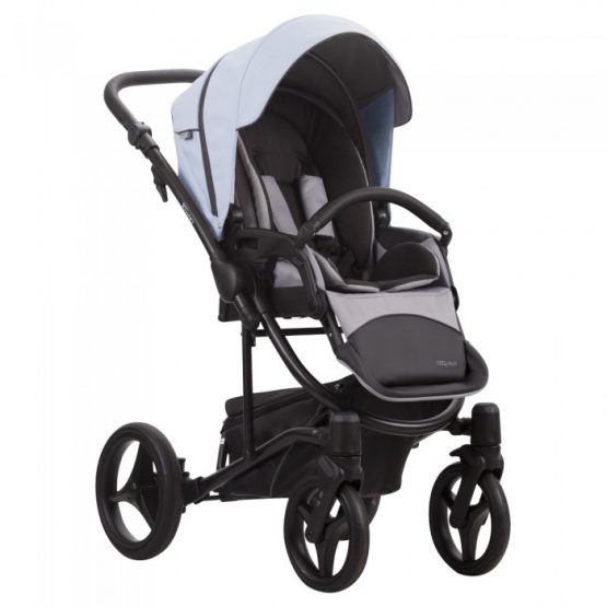 carucior 2 in 1 pentru copii