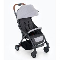 carucior de plimbare pentru copii