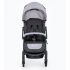 carucior de plimbare pentru copii