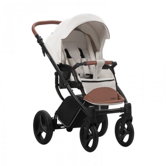 carucior 2 in 1 pentru copii