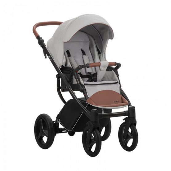 carucior 2 in 1 pentru copii