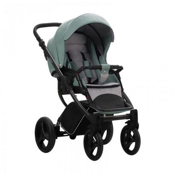 carucior 2 in 1 pentru copii