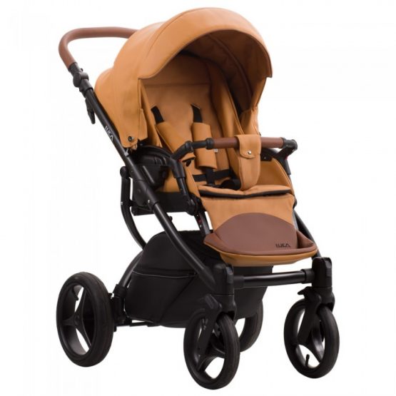 carucior 2 in 1 pentru copii