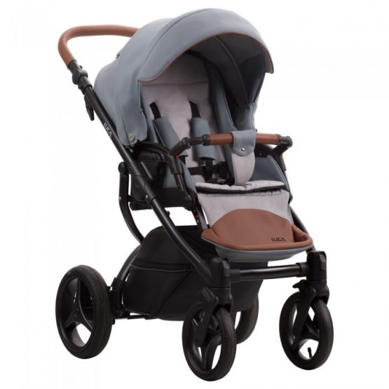 carucior 2 in 1 pentru copii