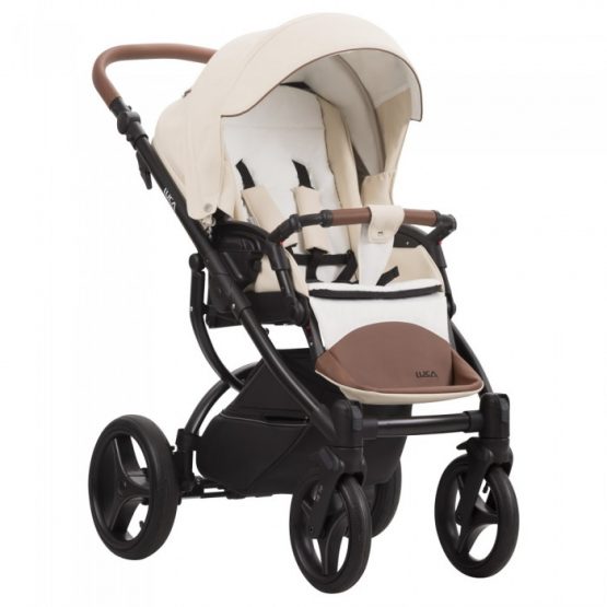 carucior 2 in 1 pentru copii