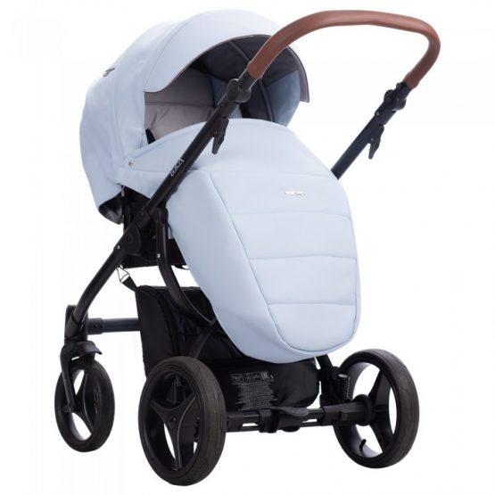 carucior 2 in 1 pentru copii