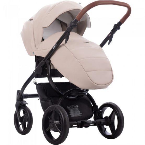 carucior 2 in 1 pentru copii