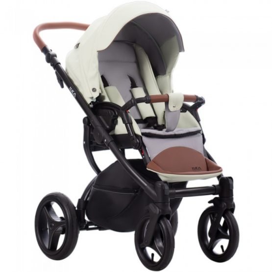 carucior 2 in 1 pentru copii