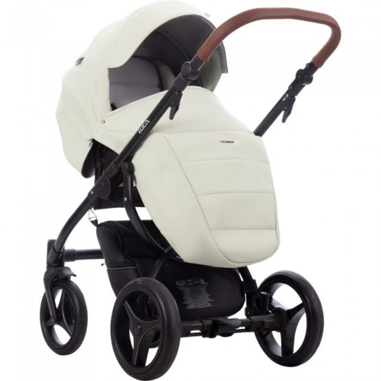 carucior 2 in 1 pentru copii