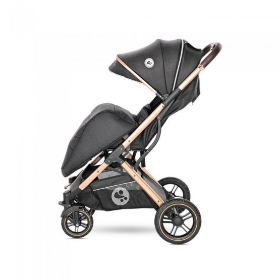 carucior de plimbare pentru copii