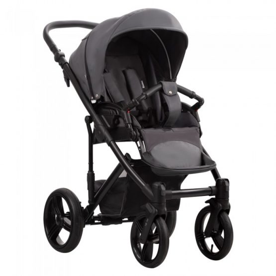 carucior 2 in 1 pentru copii