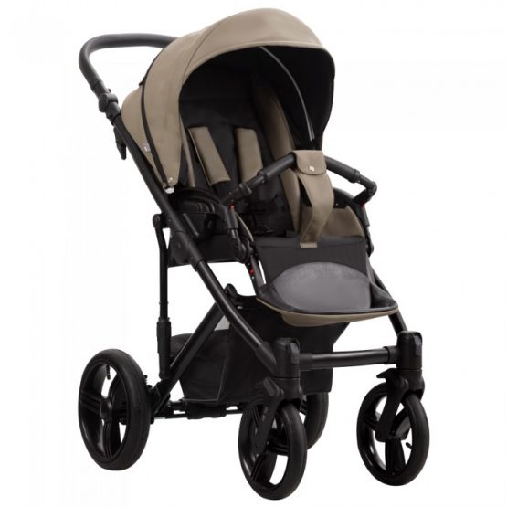 carucior 2 in 1 pentru copii