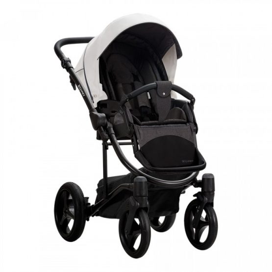 carucior 2 in 1 pentru copii