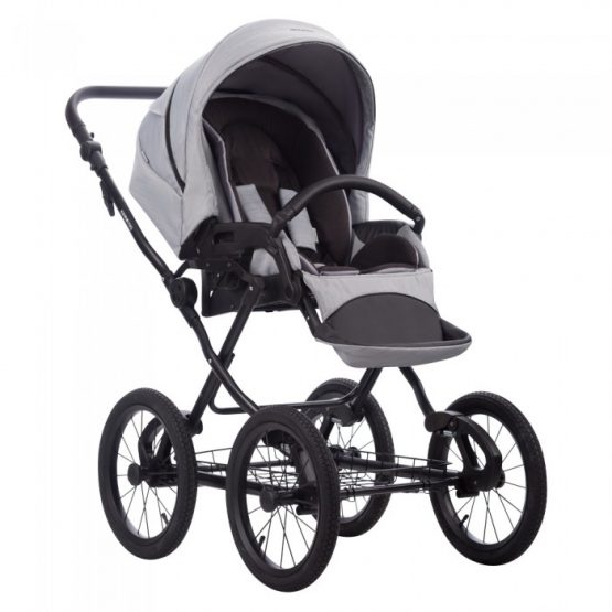 carucior 2 in 1 pentru copii