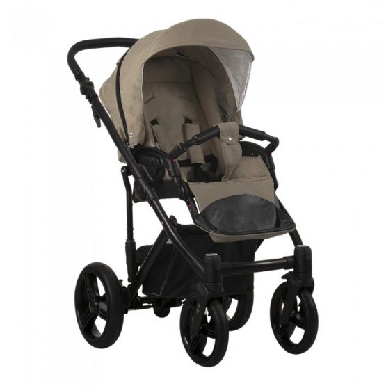 carucior 2 in 1 pentru copii