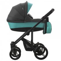 carucior 2 in 1 pentru copii