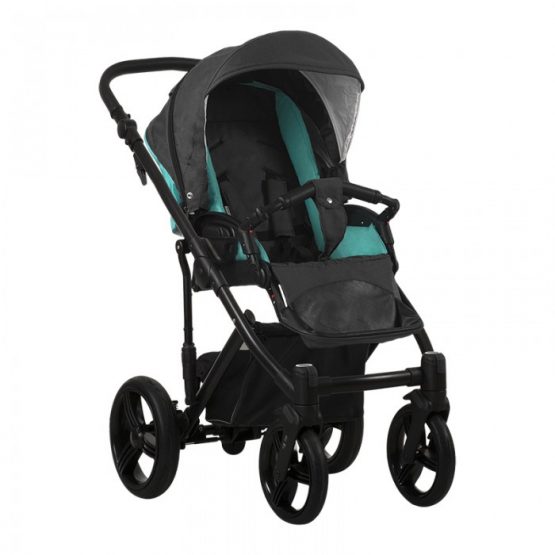 carucior 2 in 1 pentru copii