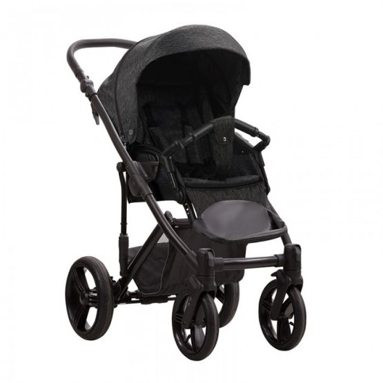 carucior 2 in 1 pentru copii