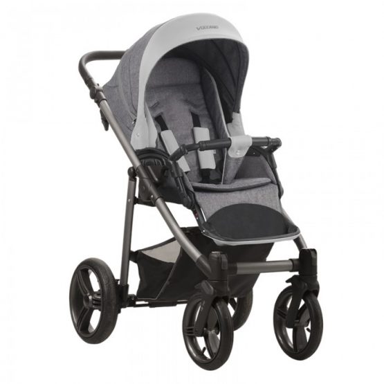 carucior 2 in 1 pentru copii